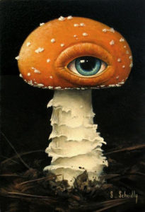 Amanita muscaria painting from Scott Scheidly: